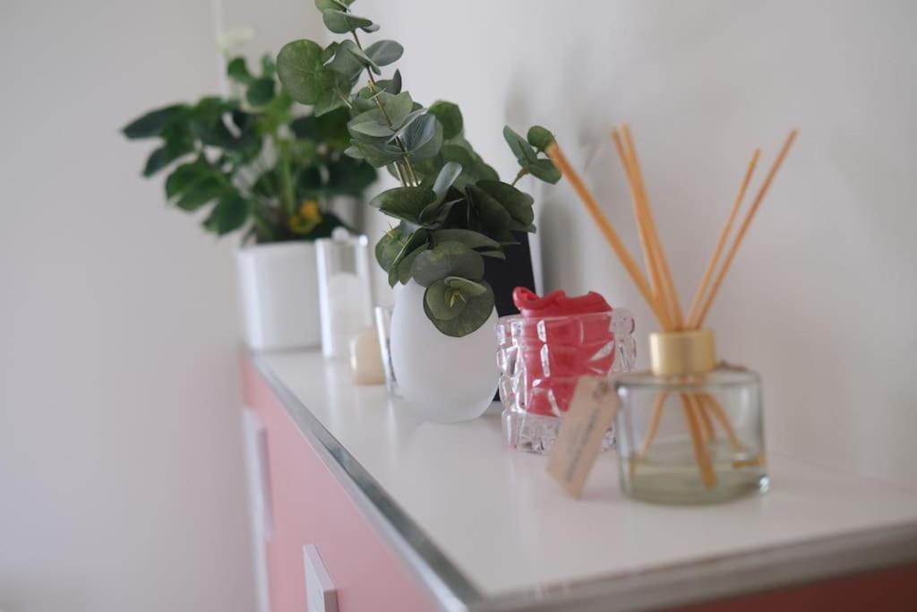 Ferienwohnung Arendsee 阿伦策 外观 照片