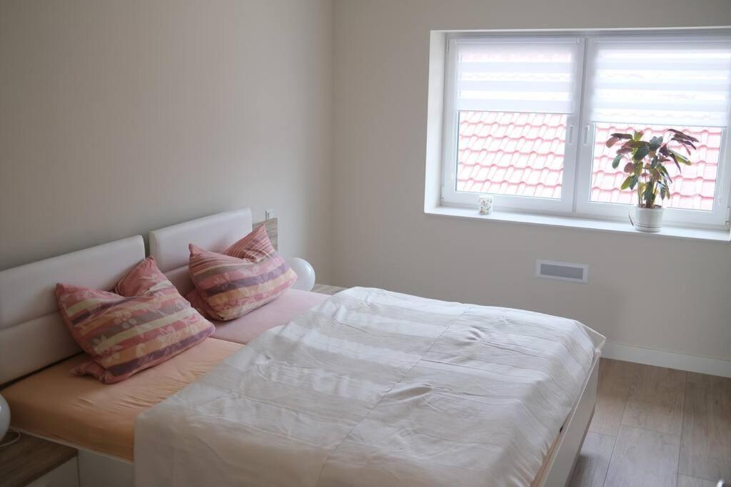 Ferienwohnung Arendsee 阿伦策 外观 照片